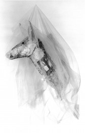 A sculpted deer head with numerous designed drawn on it is viewed upright and with a veil hanging over it with a white background.