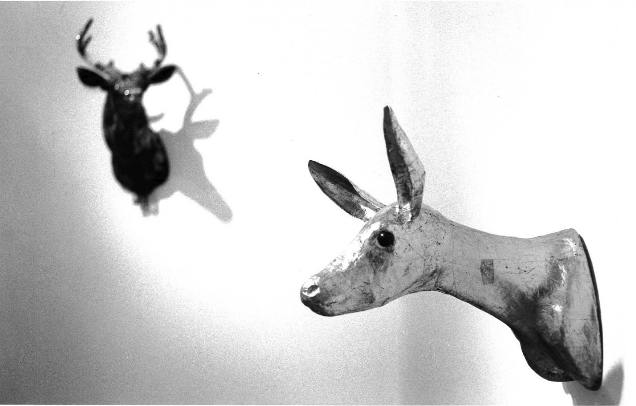 One sculpted deer head is seen in the foreground with a paper mache design and a darker deer head sculpture is seen in the background with horns. Both are hung in a white-walled gallery space.