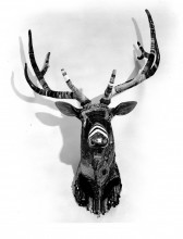 A crafted deer head with horns appears on the wall with various drawn patterns on it.