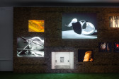 A dimly lit view of a wooden wall with scattered video-still images at varying placements. Behind the wood is a white wall.