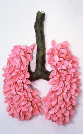 A sculpture resembling a pair of lungs installed on a white background. A stick covered with leaves forms the sculpture's treachea-like structure, while two bundles of uninflated, pink balloons form two lung-like shapes.
