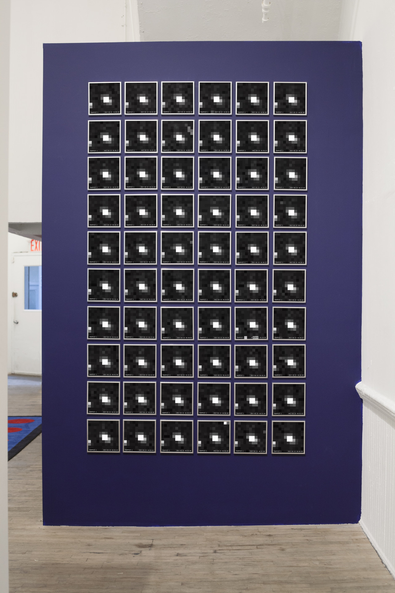 Sixty images with dark backgrounds and a white, pixelated spot emanating from their centers arranged in a grid formation on an indigo blue gallery wall.