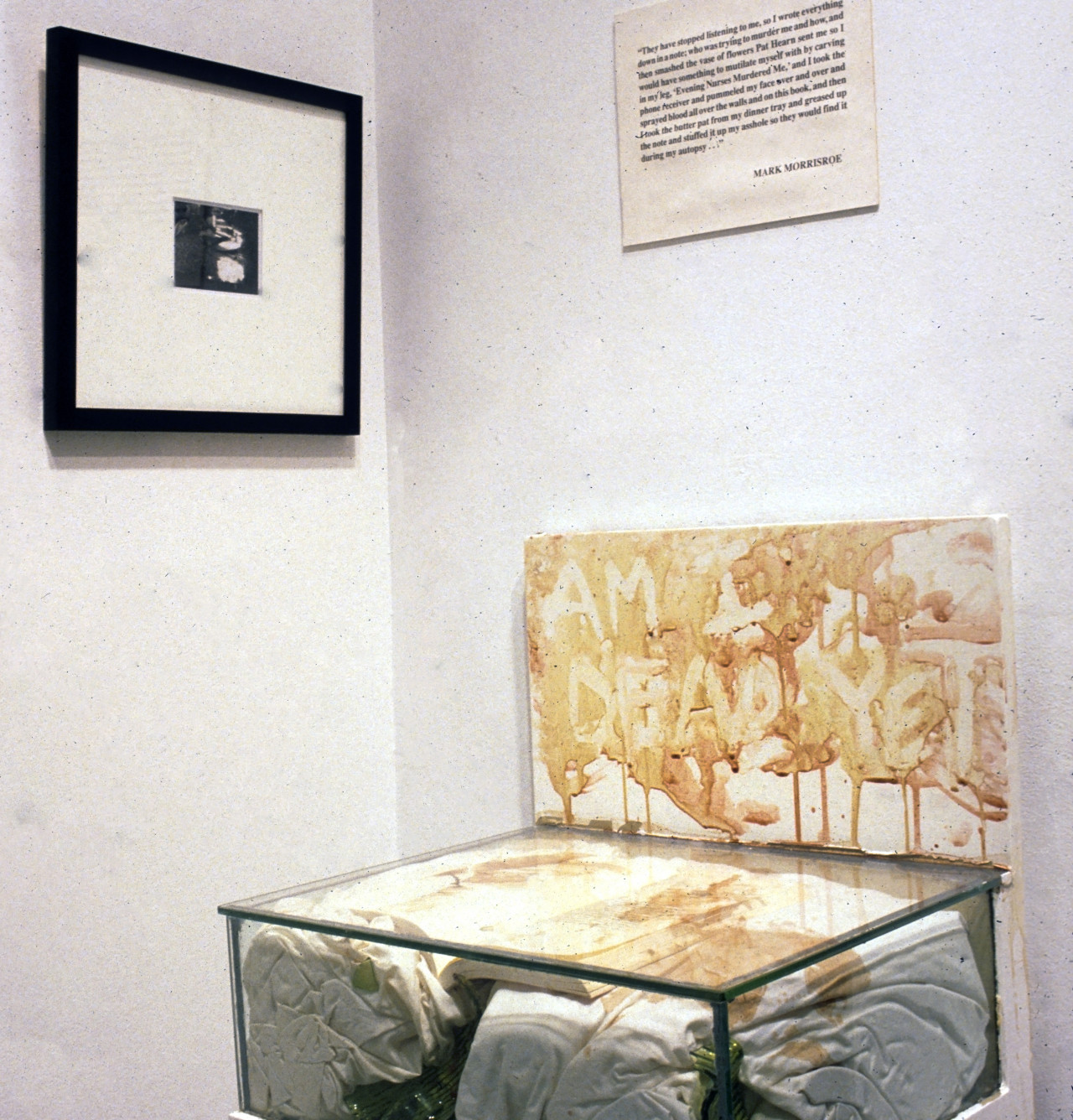 In a corner of a gallery space, a small black and white photograph hangs in a black frame on the left wall.  On the right, a small white panel of black text hangs above a sign attached to a glass box that protrudes from the wall.  Inside the box are what appear to be bloodied white linens, and on the sign above them the words "AM I DEAD YET" are written in blood.