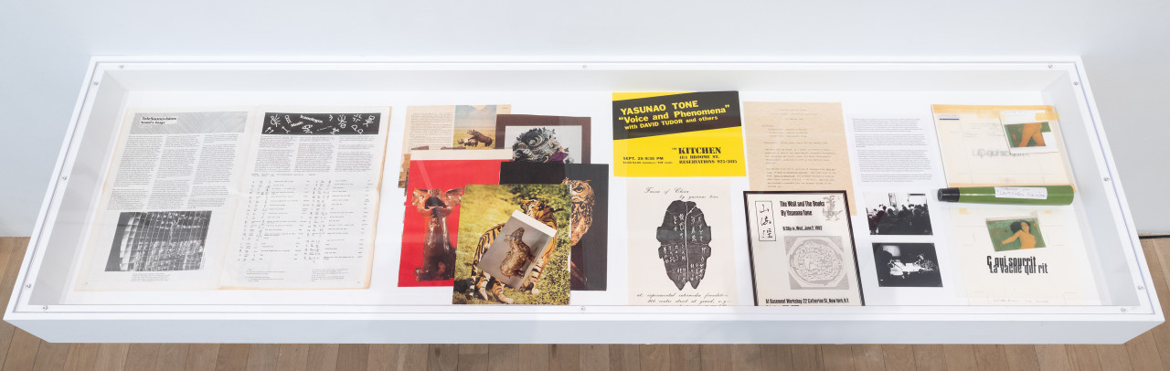 Color photograph of a vitrine from above. Various ephemera, including magazines, posters, press releases and photocopied images are placed inside.