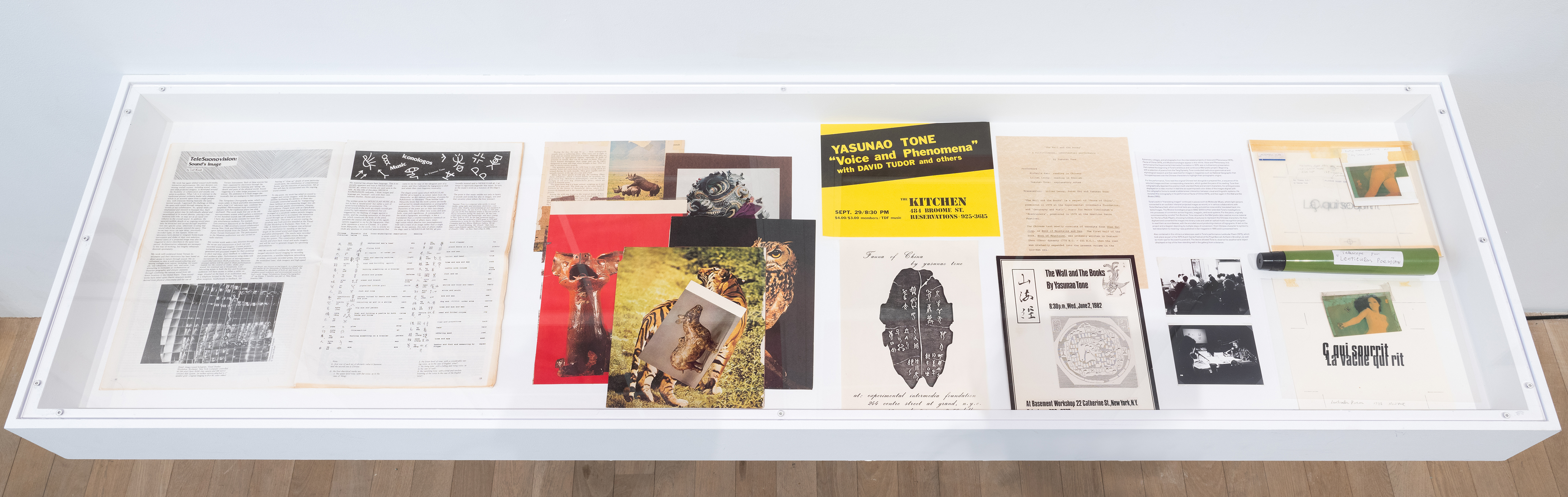 Color photograph of a vitrine from above. Various ephemera, including magazines, posters, press releases and photocopied images are placed inside.