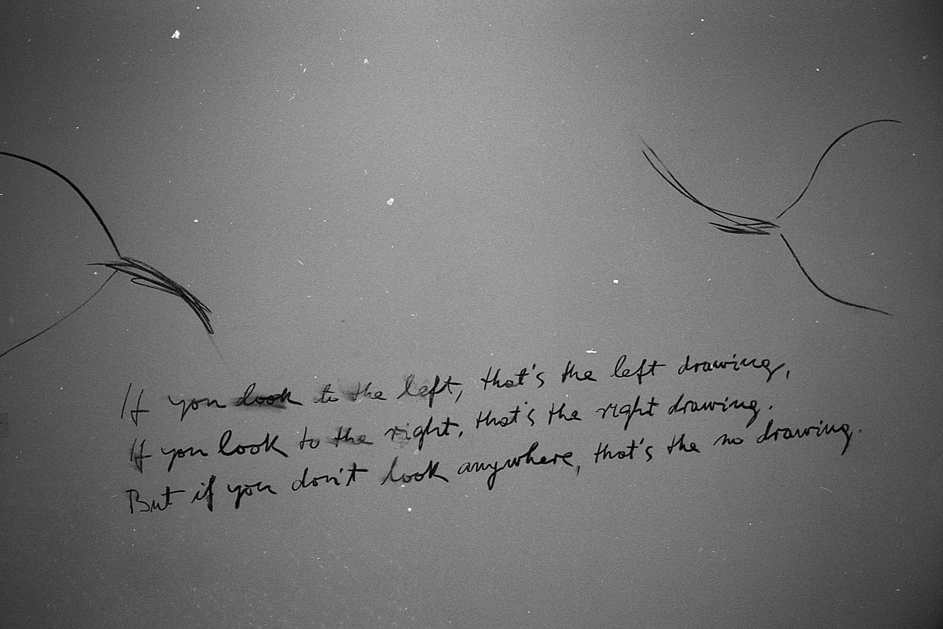 The outline of a bird in black is visible on both sides of the image with black text in the center that reads, 