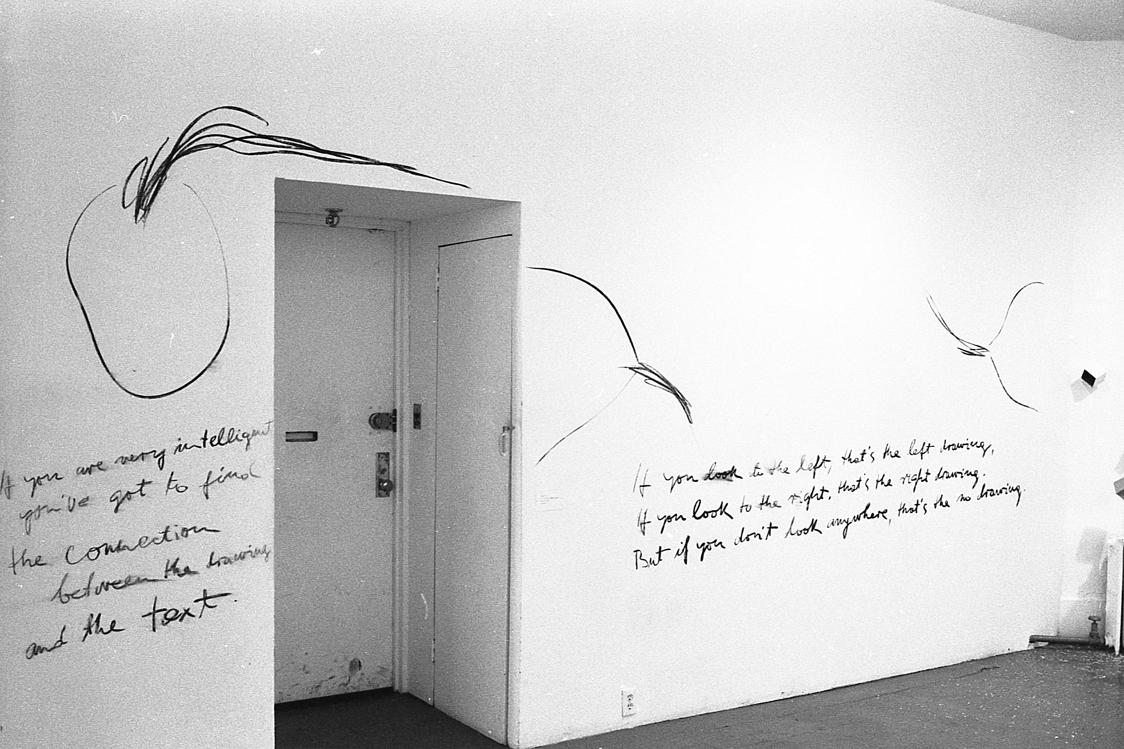 The outline of a bird in black is visible on white walls with black text on the left that reads, 