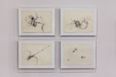 A grid of four drawings on paper displayed on a light, mauve-colored wall. The drawings contain organic shapes and linework depicting abstract forms.