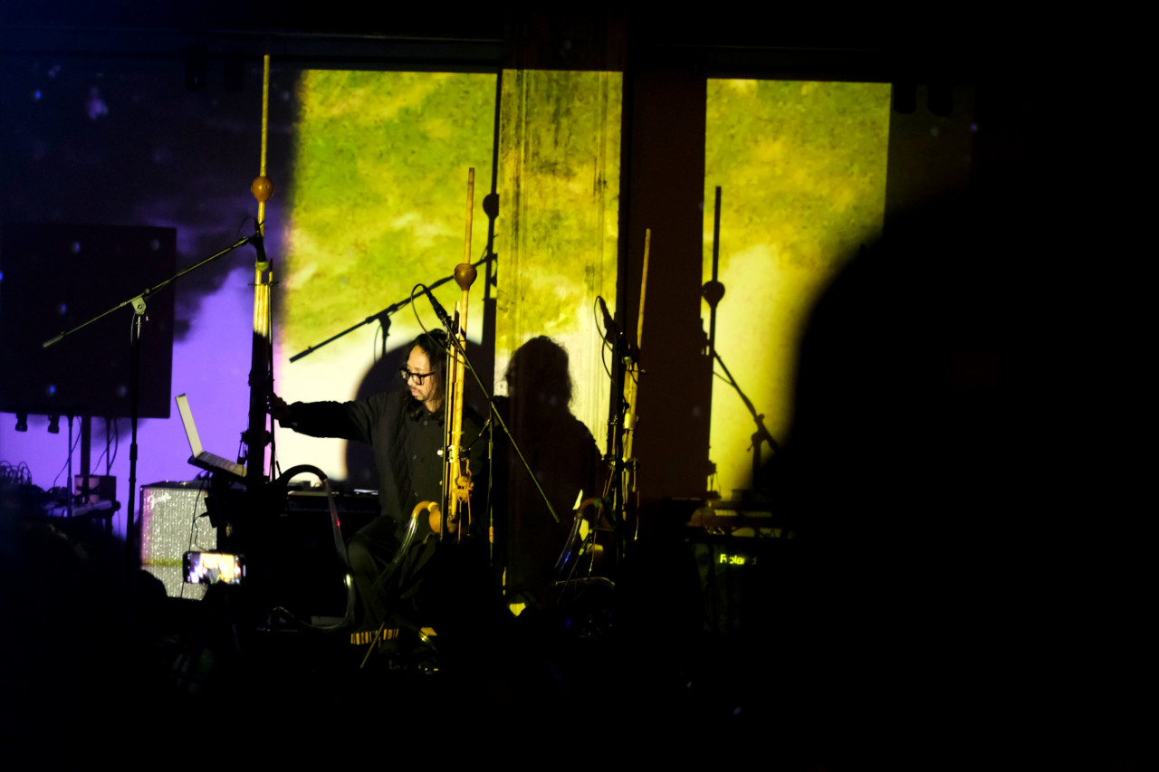 A performer plays a large wooden instrument on stage. The performer and the wall behind the stage are bathed in green and purple lights