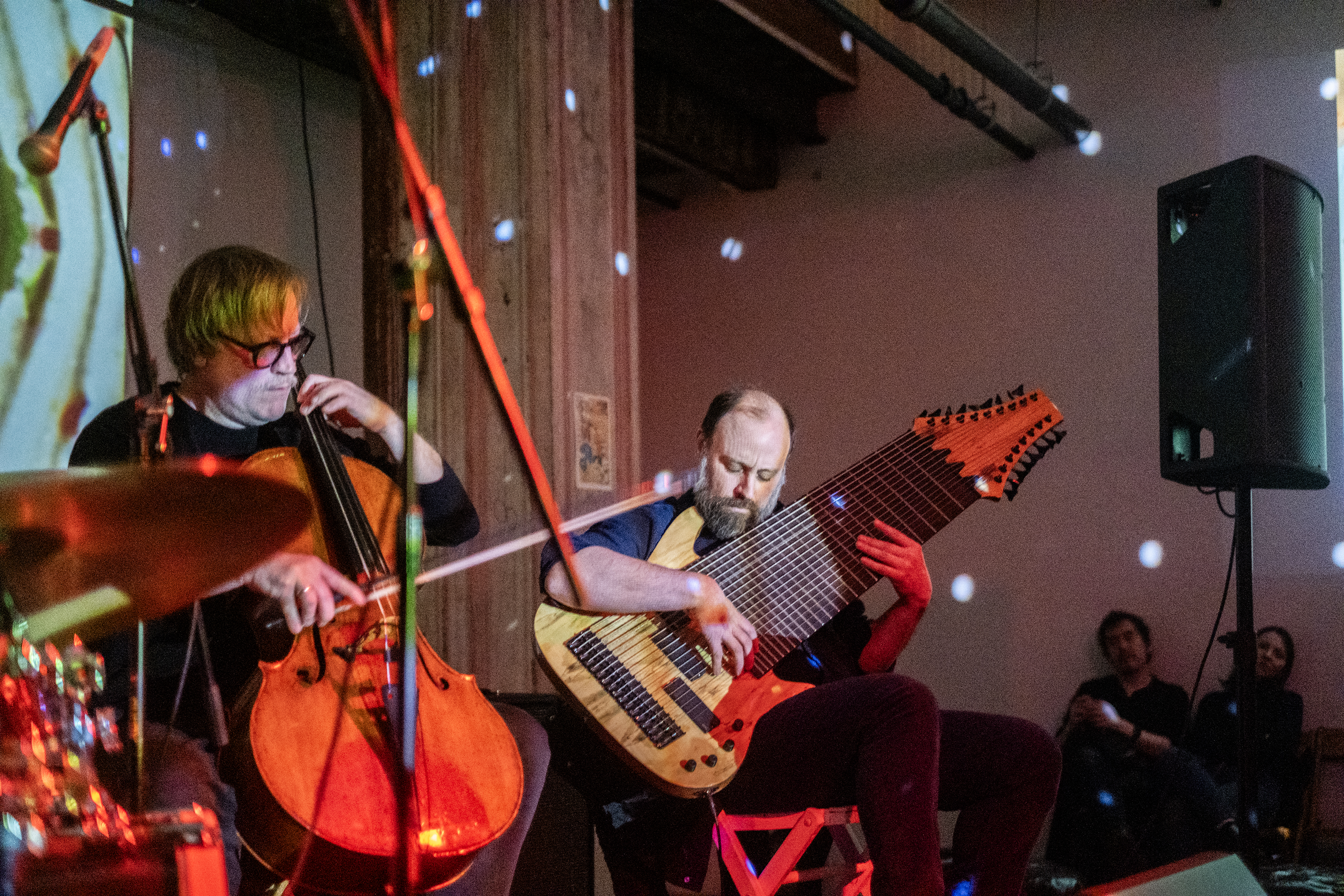 Two performers play side-by-side on stage. The performer on the left plays a cello, and the performer on the right plays a 17-stringed instrument. 
