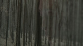 A detail view of a dim, stark forest with minimal sunlight.