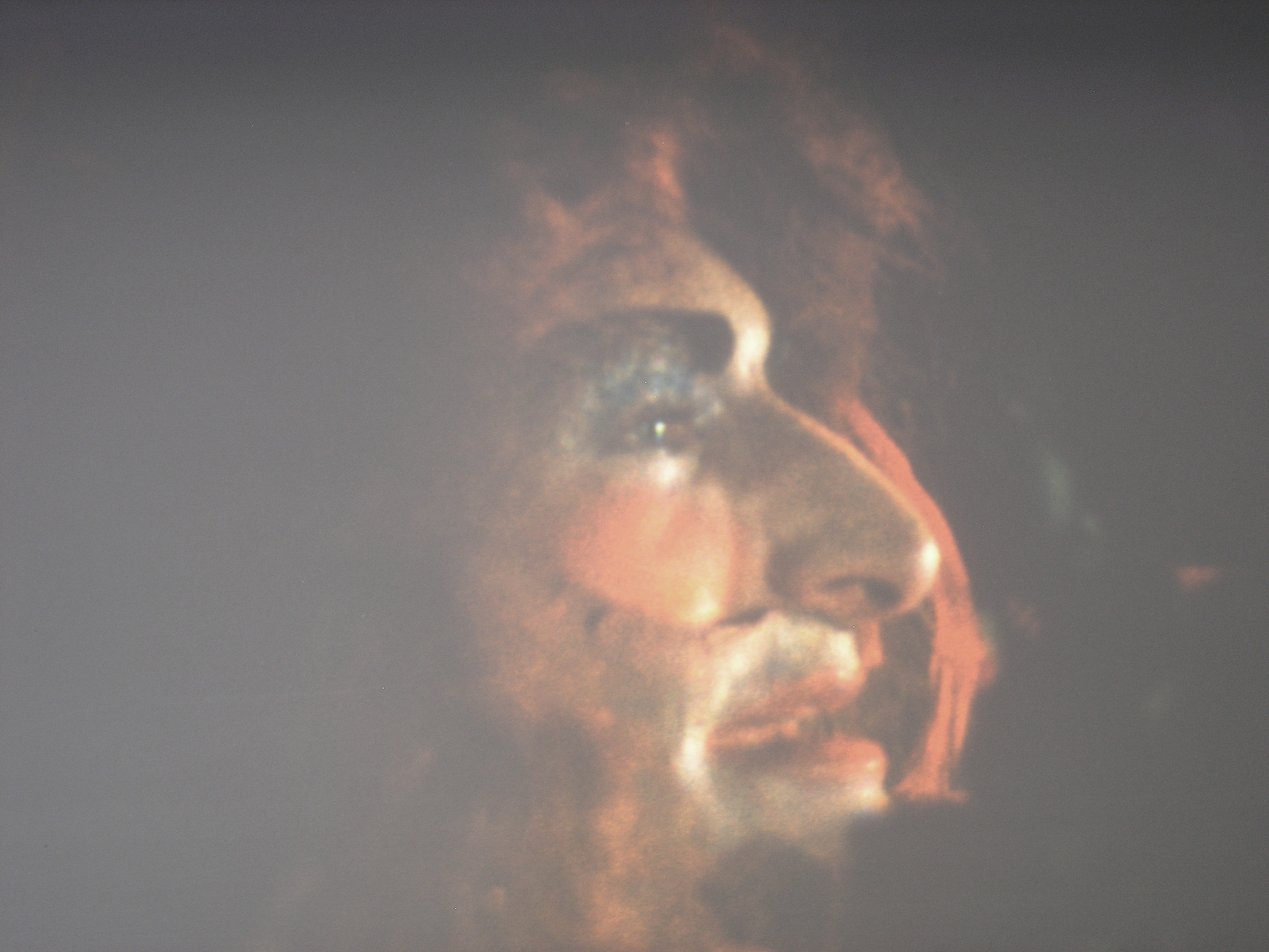 The profile of a person with orange hair wearing heavy makeup.