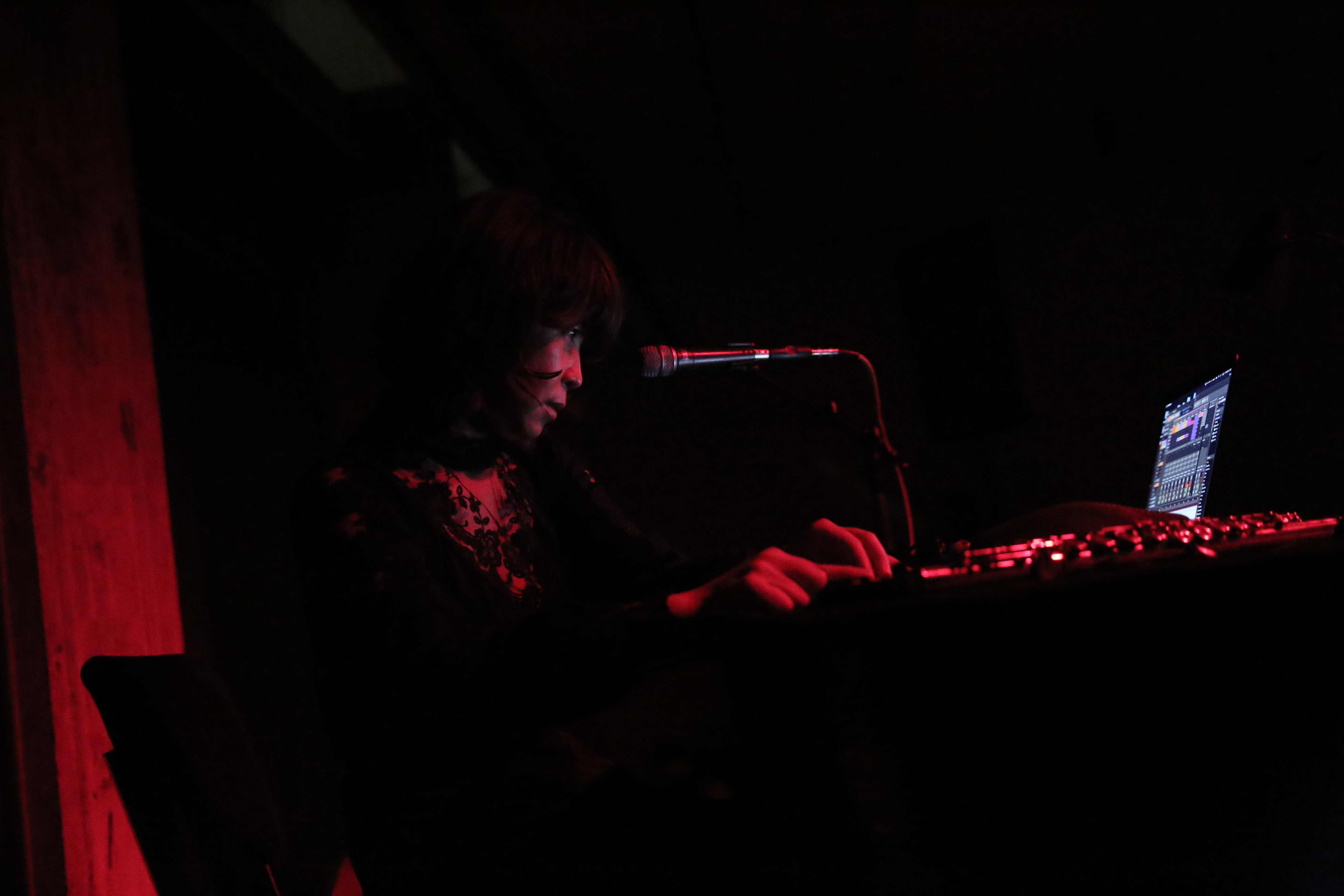 A figure facing a microphone looks upon a computer with audio software open.