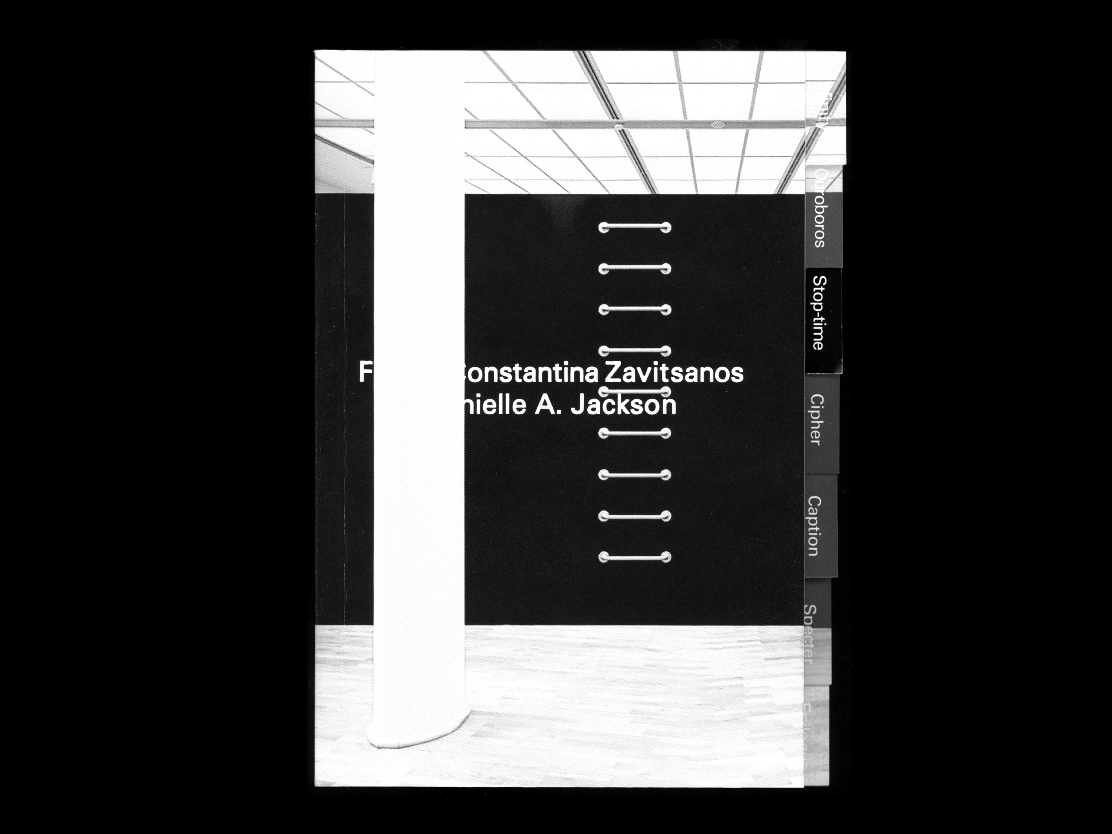 A book cover featuring a vertical stack of disabled-access grab bars mounted on a black wall. White text across the center reads 