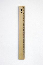 A 30-cm ruler.