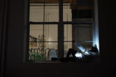 Color photograph of a figure dressed in white, laying down on a window ledge facing the street. They raise on arm up and a white light shines from their pelvic area.