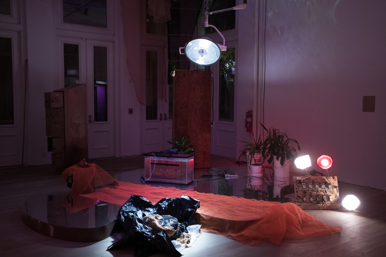 Color photograph of a gallery space with an installation consisting of a large mirrored pond, made from a wooden base with a reflective lining on top, that is surrounded by tree trunks, plants, fish tanks, and a phone booth. A large lamp hangs from the ceiling, and an orange construction net is placed over the pond.