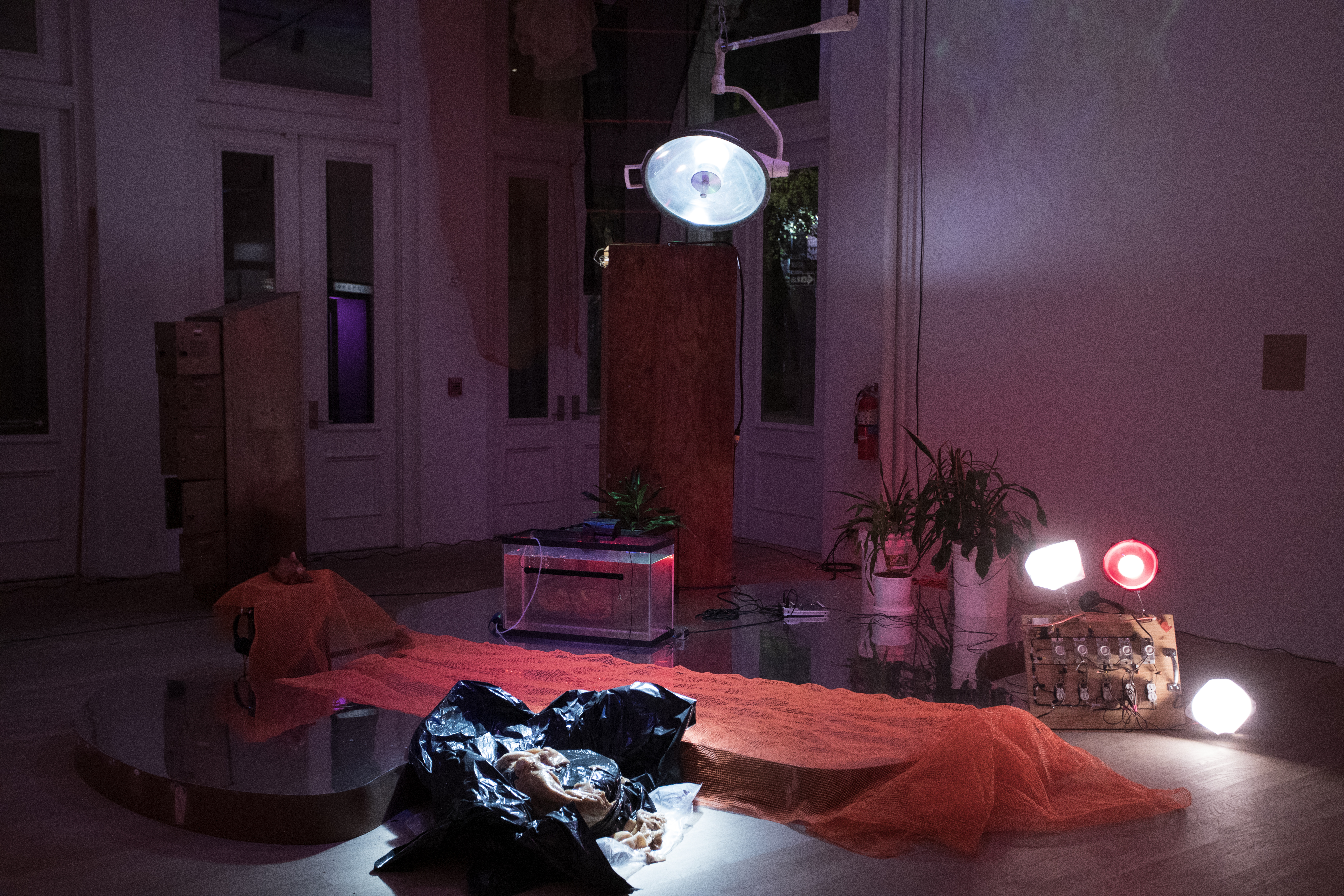 Color photograph of a gallery space with an installation consisting of a large mirrored pond, made from a wooden base with a reflective lining on top, that is surrounded by tree trunks, plants, fish tanks, and a phone booth. A large lamp hangs from the ceiling, and an orange construction net is placed over the pond.