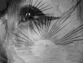A black and white composite photo showing a close-up of an eye superimposed under an illustration of a sunset over a sea horizon.