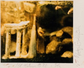 A slightly blurry photograph of a yellow-toned fish tank at close range. There is a white border on two sides of the photograph with handwritten text on it.
