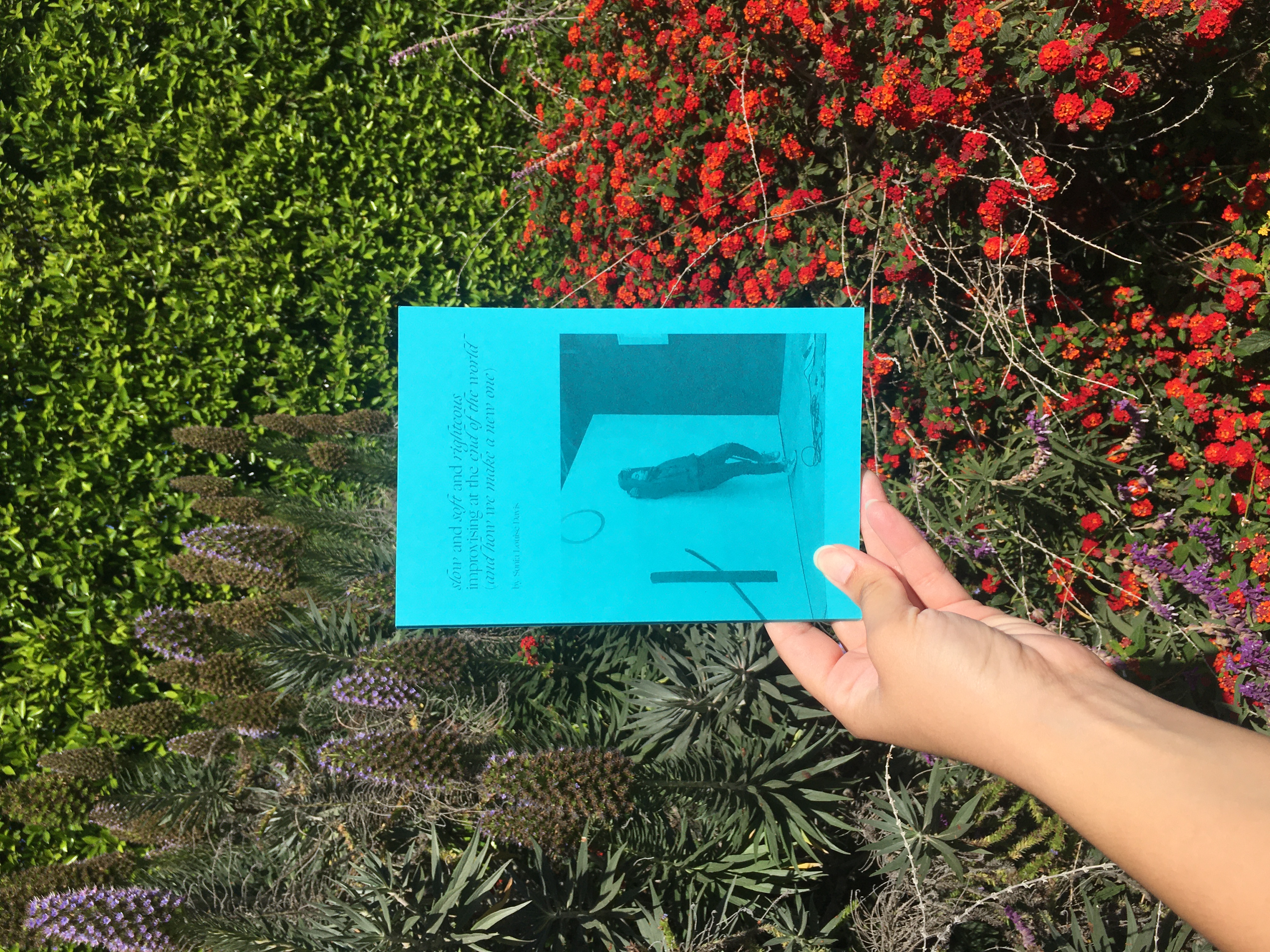 A color photograph of a human hand holding a blue booklet in front of a background of green leaves as well as red and purple flowers. On the booklet 