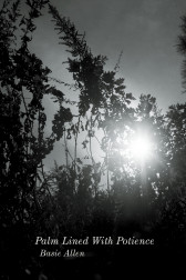 A black and white image of sun shining through various stems and foliage.