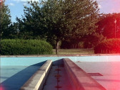 An empty pool with weeds growing out of cracks. There are trees and bushes in the background, and a pink glow on the righthand edge, as if from a sunspot.