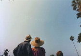 Two people wearing large sun hats look up towards an empty blue sky framed by scattered palm trees. Faint, white text written in dotted cloud formations is visible in the sky.