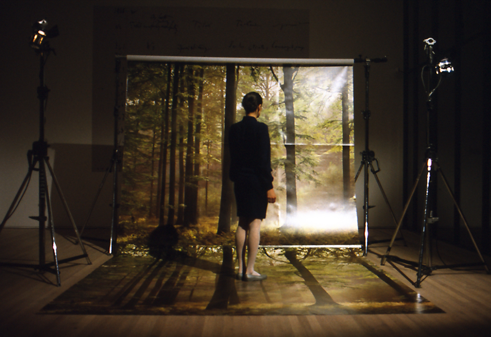 A woman stands, facing away from the camera. She is standing on a photo backdrop of trees in a forest, which covers part of the floor and is raised into the air by stand. Studio lights surround her, casting a slight glare off the backdrop.