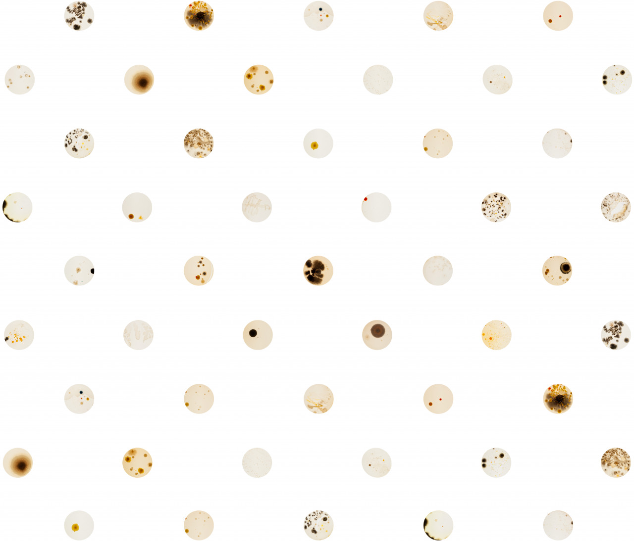 A spotted pattern against a white ground, with each spot having a unique stain, splatter, or drops of ink.