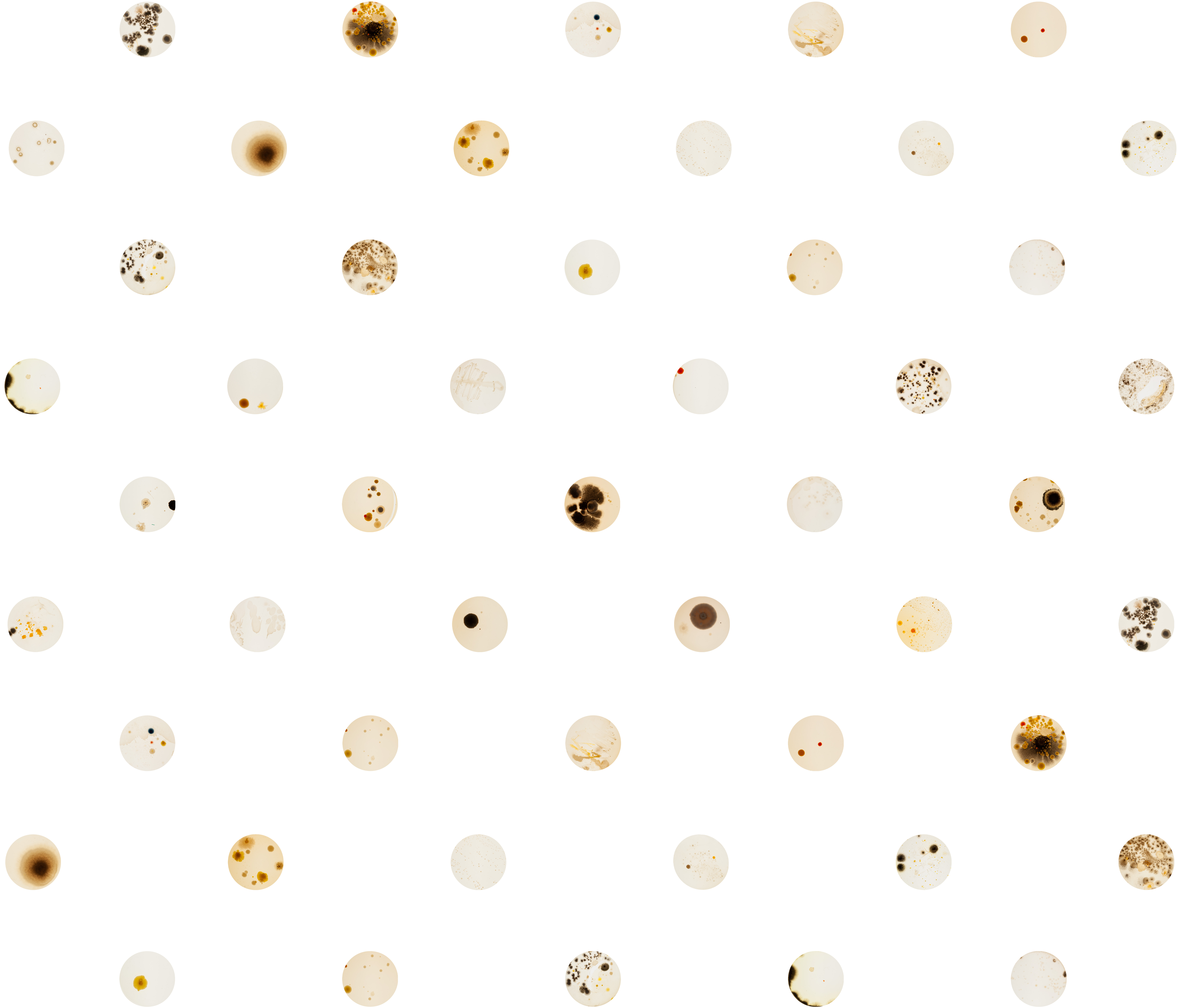 A spotted pattern against a white ground, with each spot having a unique stain, splatter, or drops of ink.