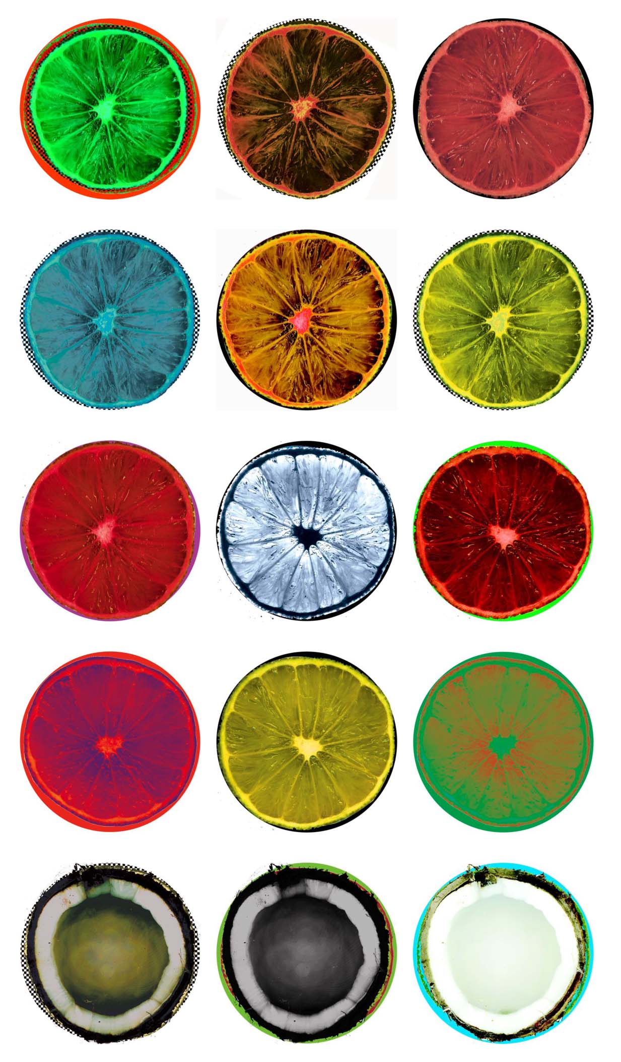 A grid of citrus fruits and coconuts, each cut in half to reveal the interior flesh, is presented in a variety of high contrast colors against a white ground.