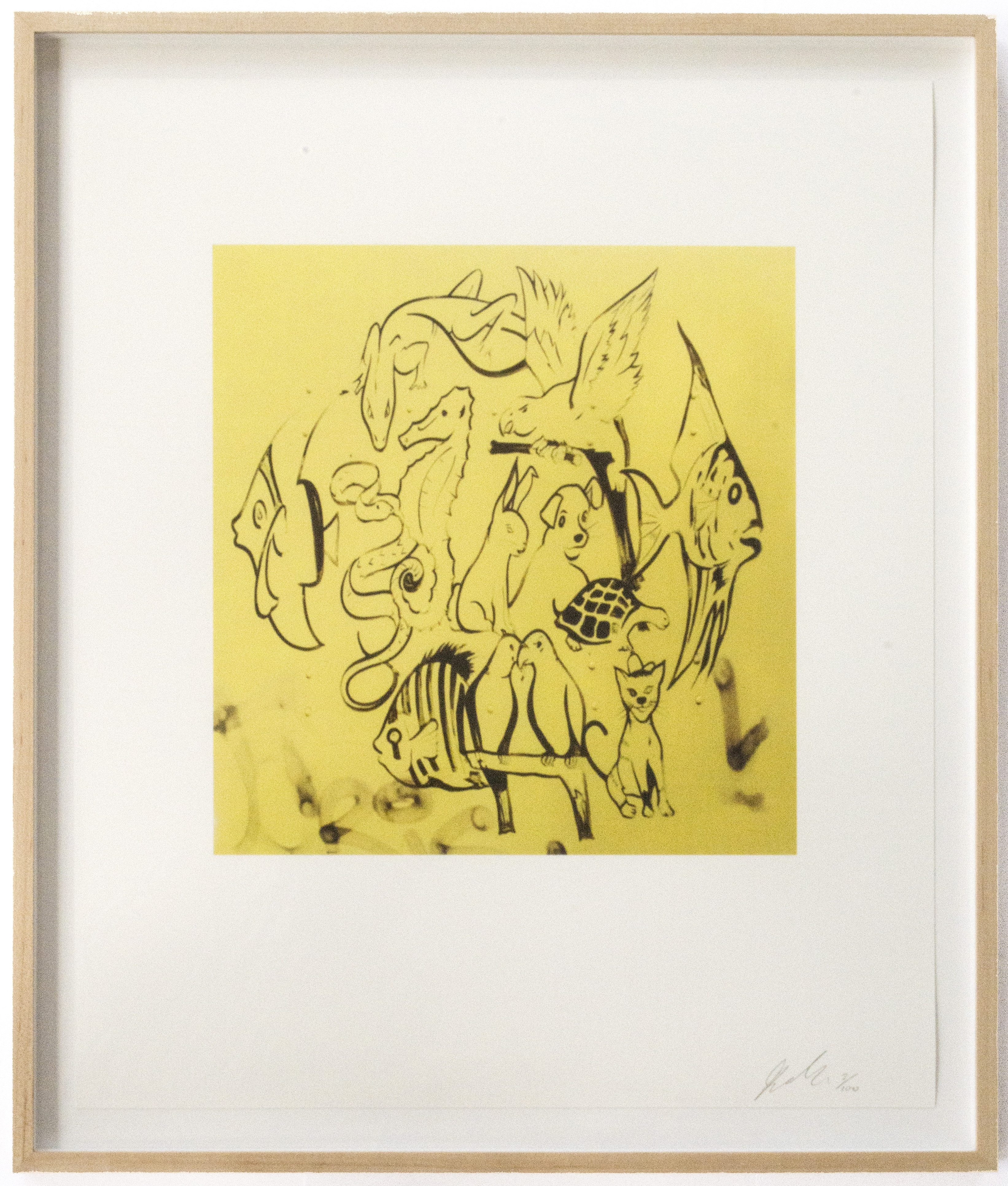 Assorted animals, including tropical fish, birds, reptiles, a cat, dog, and rabbit are drawn in black marker on yellow paper.