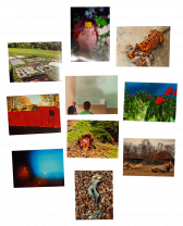 An arrangement of 10 colored photos, each showing a different outdoor and indoor settings, including settings of nature, animals, a red trailer, an overexposed lecture hall, and a portrait of a woman.