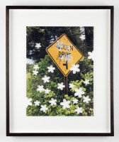 White flowers are superimposed on a photograph of a leafy shrub enshrouding a yellow street sign that reads 