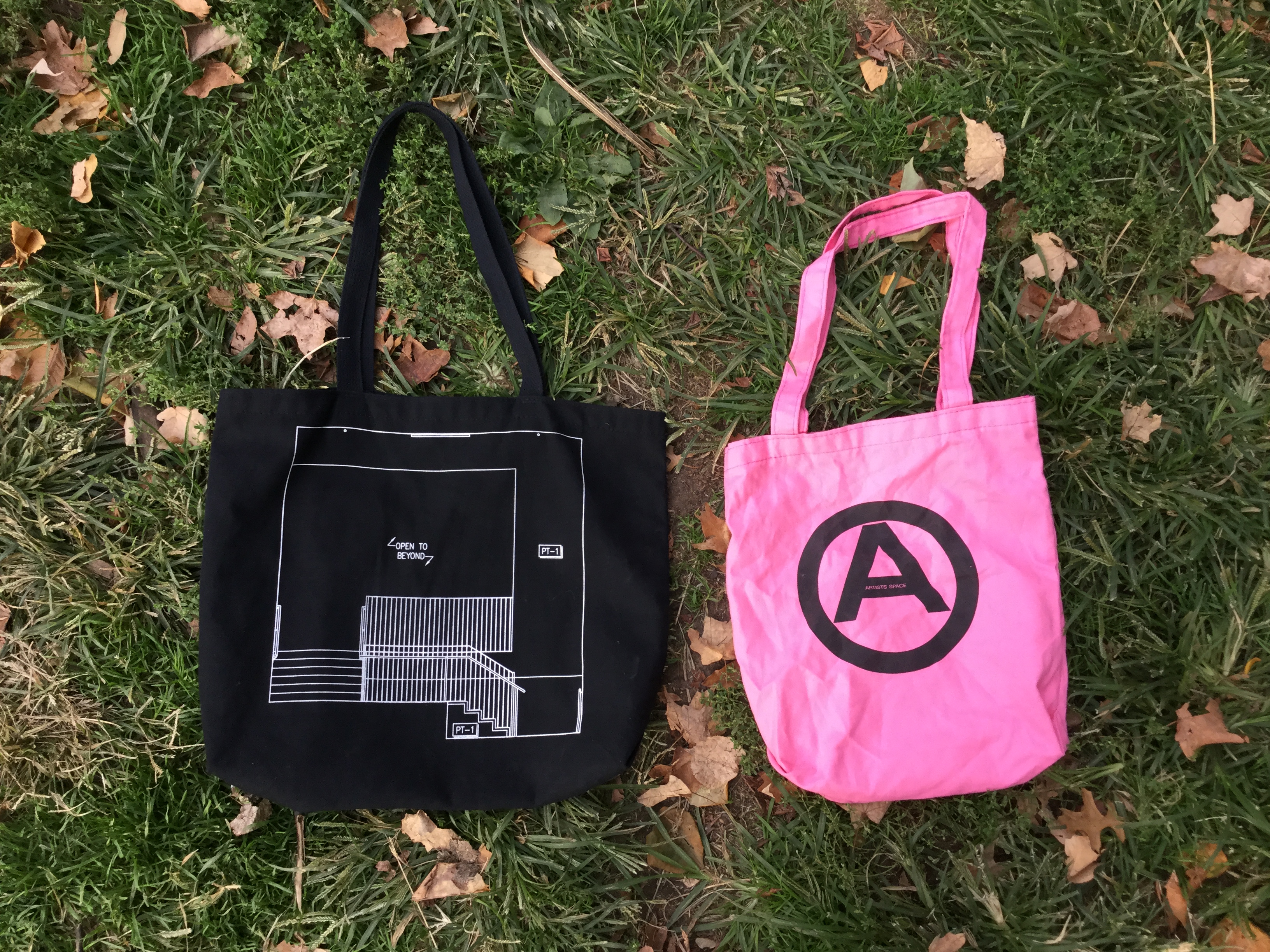 Two Artists Space tote bags lay in the autumn grass. One is black with a white line drawing, the other is pink with a black bold graphic.
