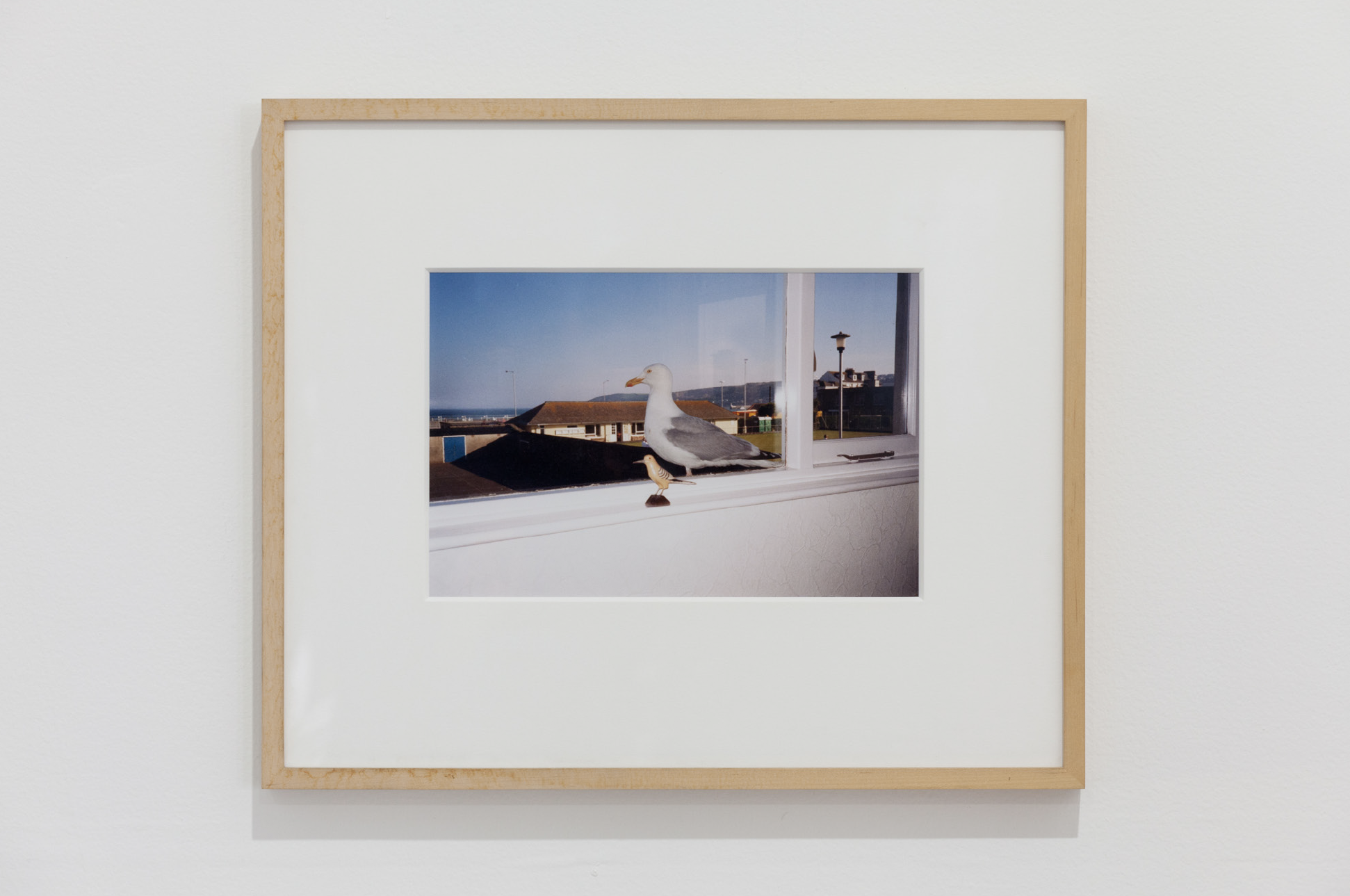 The image shows a wood-framed photograph hanging on a wall. The photo, taken from inside a room, shows a seagull on a window ledge beside a small bird figurine. Out the window is a blue sky and buildings.
