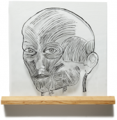 The image shows a figure's face composed of black lines and etch-marks on top of a transluscent background. The image rests on a wooden shelf.