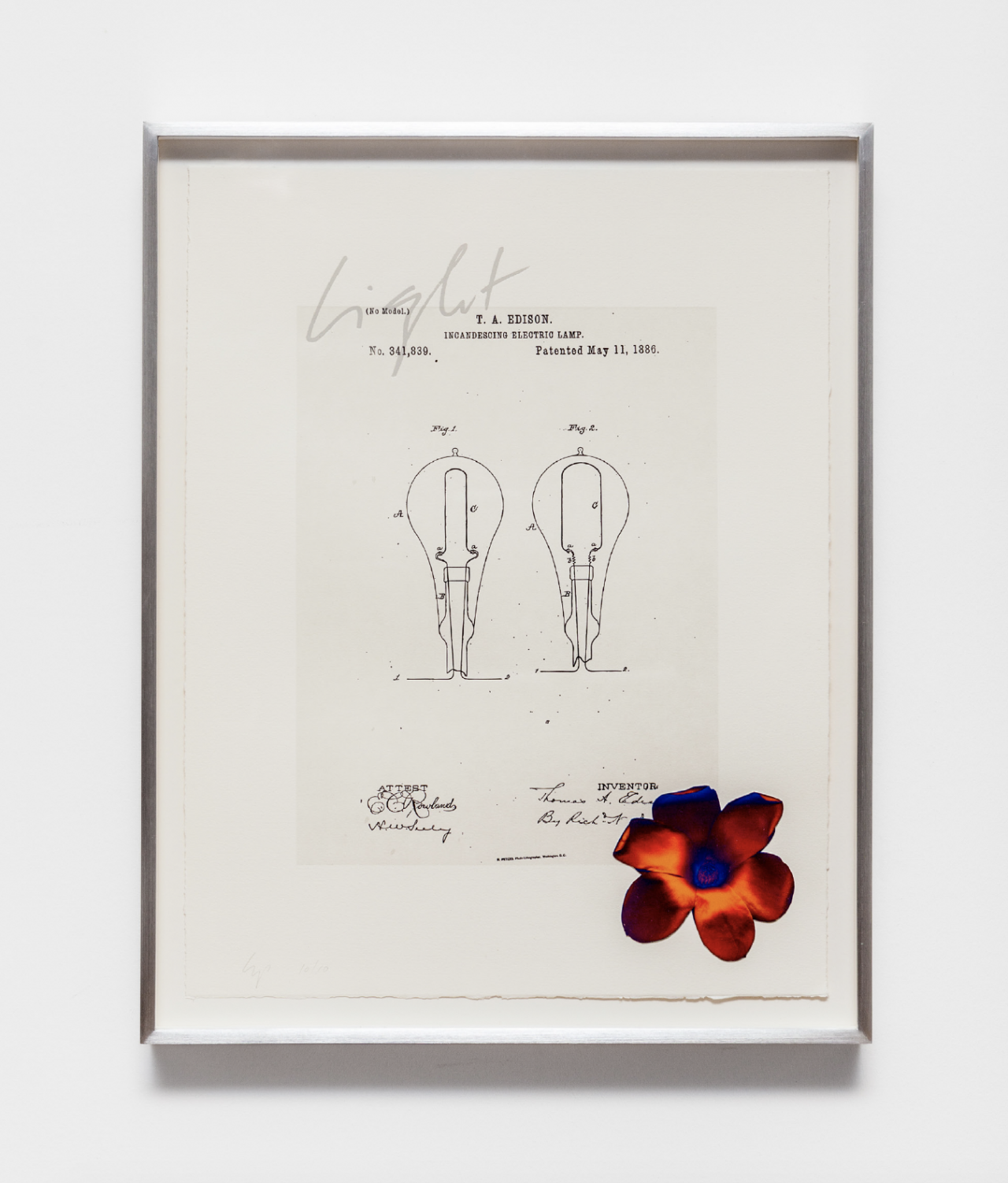 A white framed image hangs on a wall. The image shows line-drawn diagrams of lightbulbs. Above the diagrams it reads, "Fig. 1" and "Fig. 2." Above that it reads, "(no. model) T.A. Edison / Incandescing electric lamp / No. 341839 Patented May 11, 1886." Below the diagram it says, "Attest [with signatures below] inventor [with signatures below]." collaged on top of the print is a saturated red and blue flower at the bottom right and the word "light" in cursive on the top left.