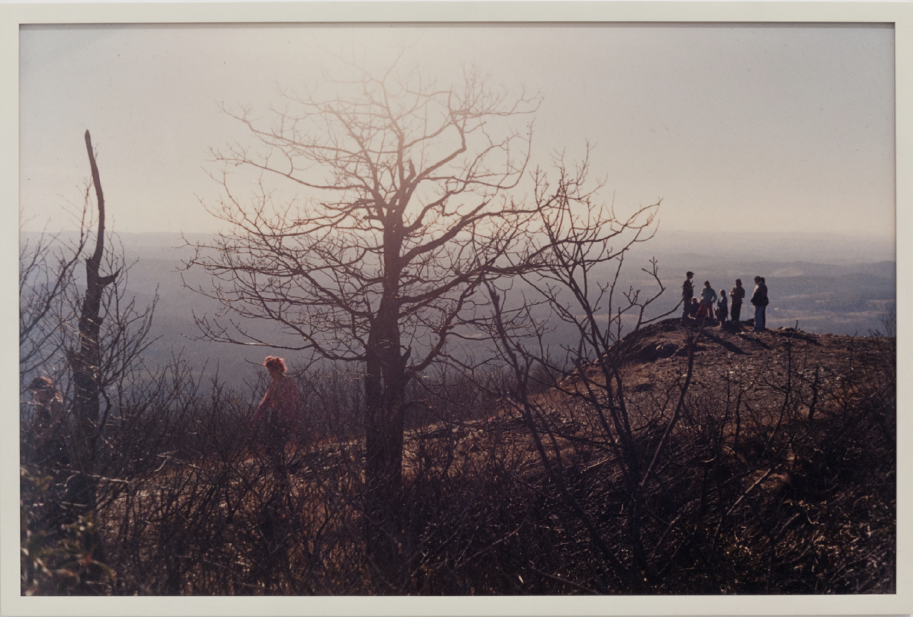 This hazy photograph pictures a landscape. A group of people stand at the edge of an overhang that looks off onto a bluish landscape below. Another person walks by a tree without leaves that centers the photo.