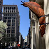 A large, orange and brown stuffed slug sculpture is strapped around a Greco-Roman style columns on the facade of a cast iron building. The slug’s antennae point towards the blue sky. Further down the street are additional buildings, parked cars, and a Detour sign.